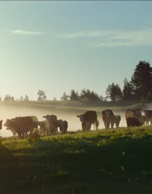 Liivimaa_TVC-pildid_4 Liivimaa_TVC-pildid_4